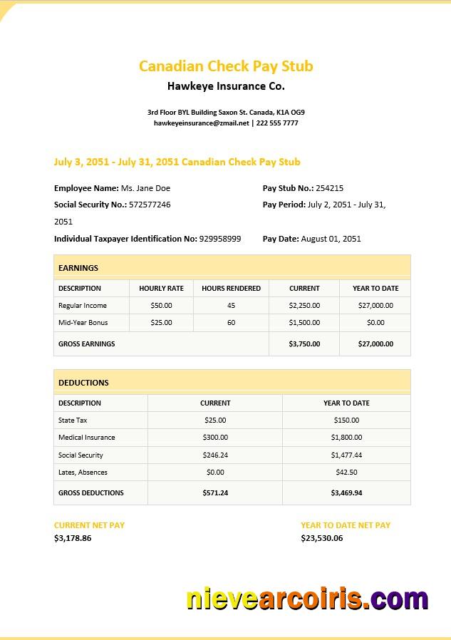 Canadian Check Pay Stub